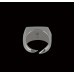 Lion Nails Ring