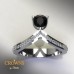 Coronet (C_CrD_002)